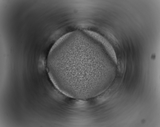 X0000102470718200808221643