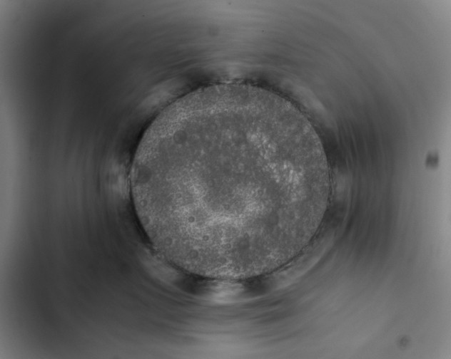X0000102470719200808221642