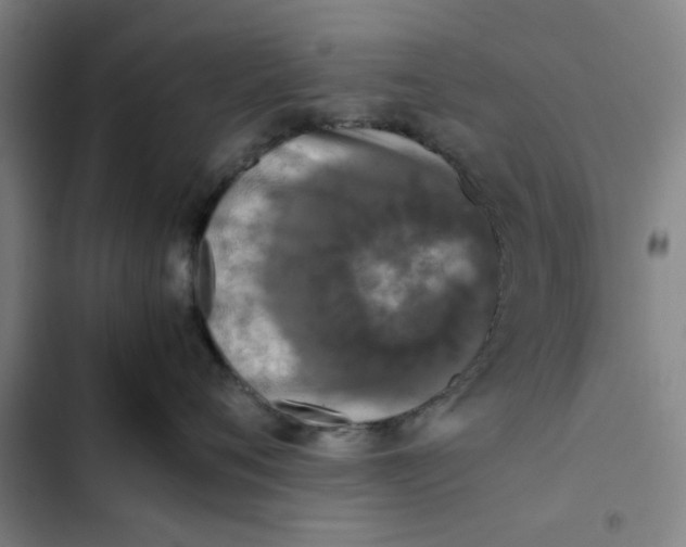 X0000102470720200808221642