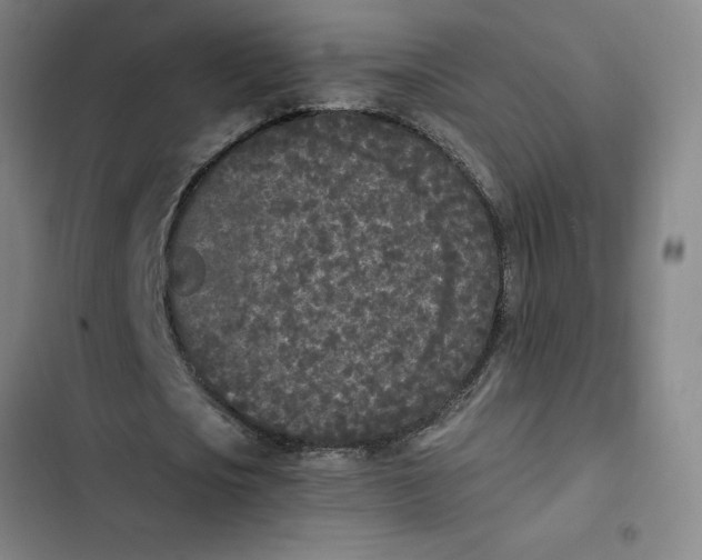 X0000102470721200808221642