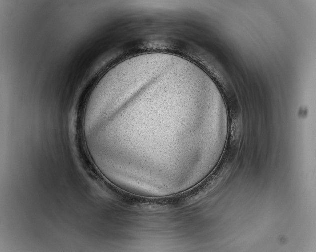 X0000102470722200808221642