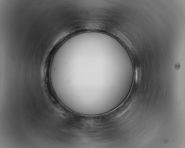 X0000102470723200808221642