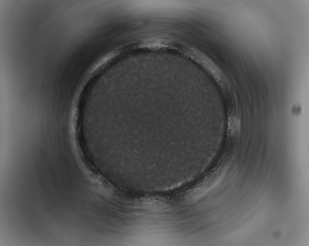 X0000102470724200808221642