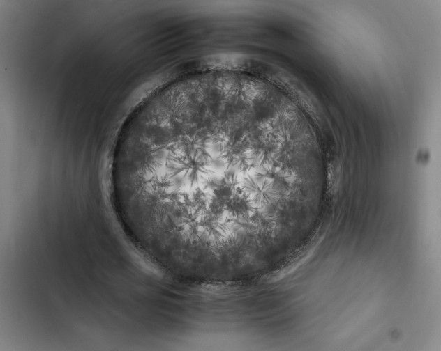 X0000102470725200808221642