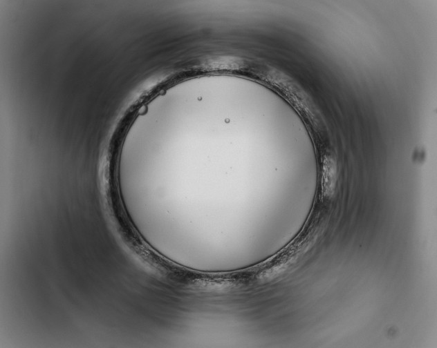 X0000102470726200808221642