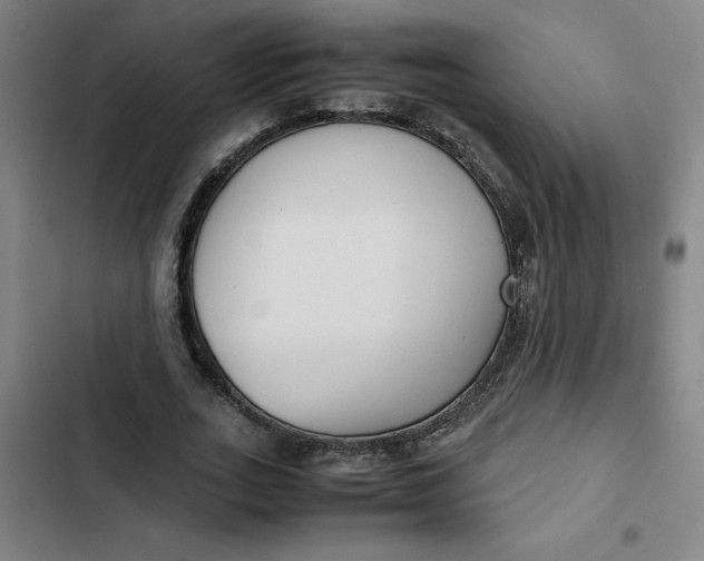 X0000102470727200808221642