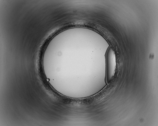 X0000102470728200808221642