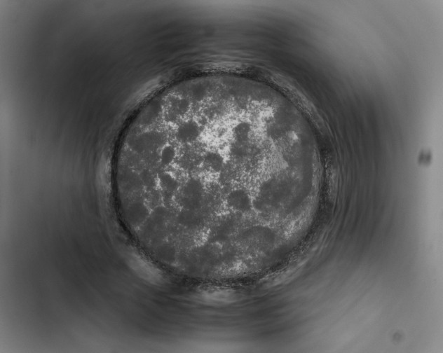 X0000102470729200808221642