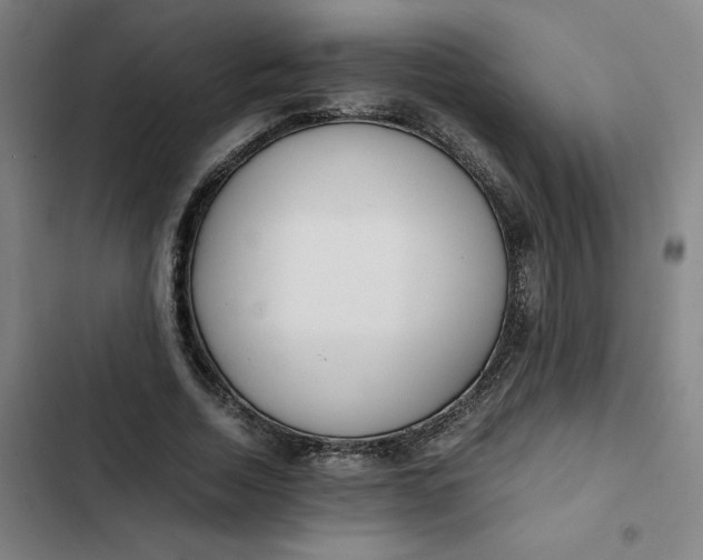 X0000102470730200808221642