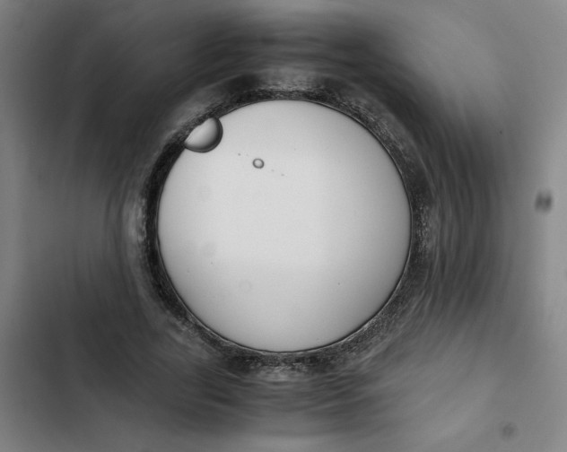 X0000102470731200808221642