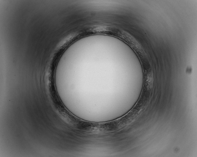 X0000102470732200808221642