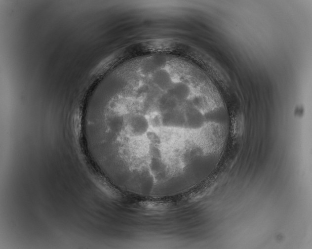 X0000102470733200808221642