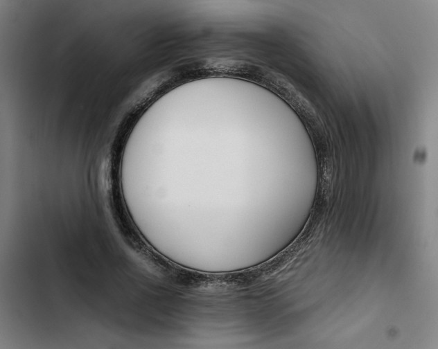 X0000102470734200808221642