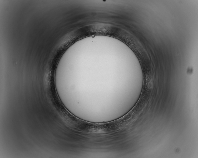 X0000102470735200808221642