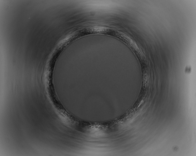 X0000102470736200808221642