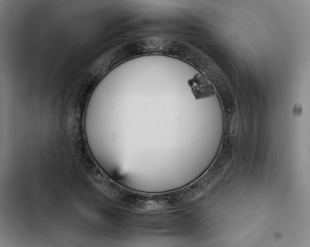 X0000102470737200808221642