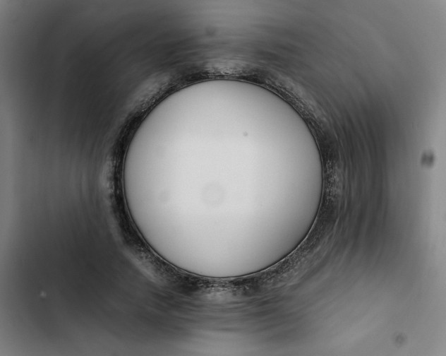 X0000102470738200808221642