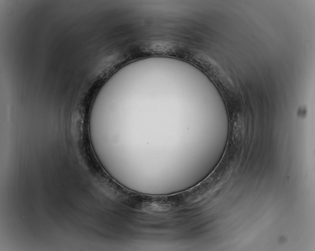 X0000102470739200808221642