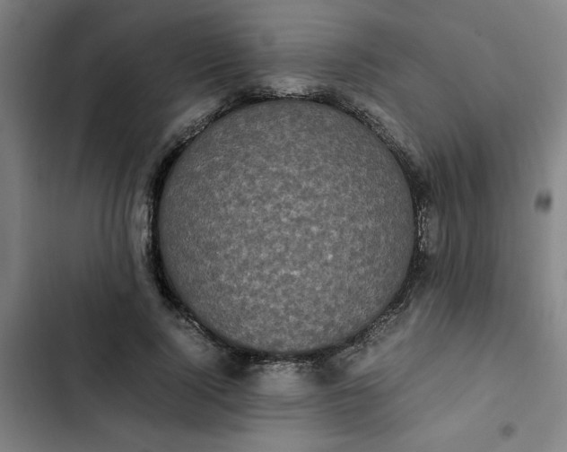 X0000102470740200808221642