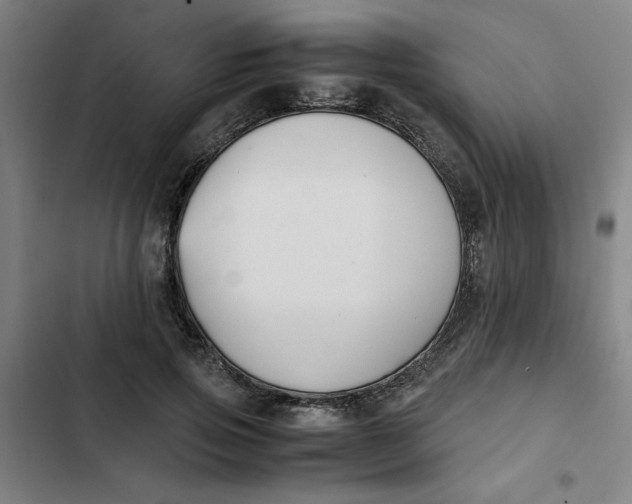 X0000102470741200808221642