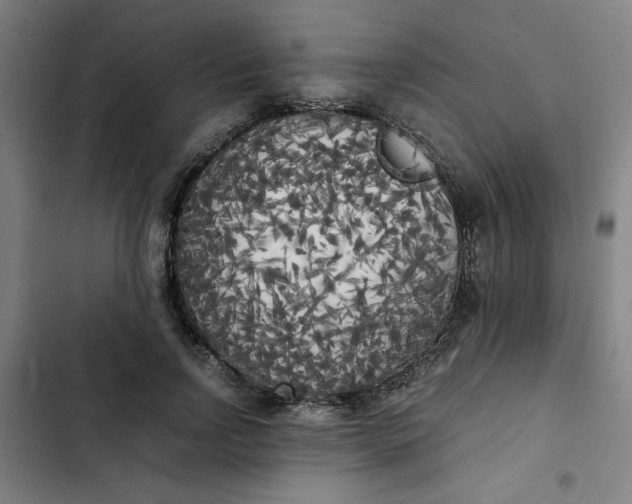X0000102470742200808221642