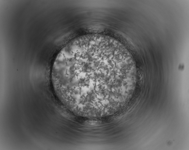 X0000102470745200808221642