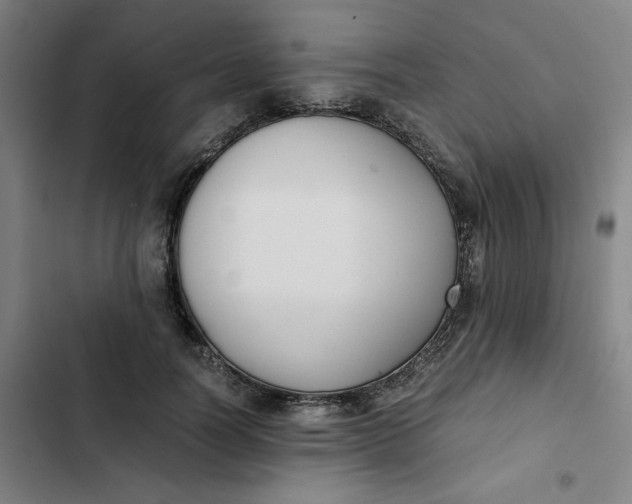 X0000102470746200808221642