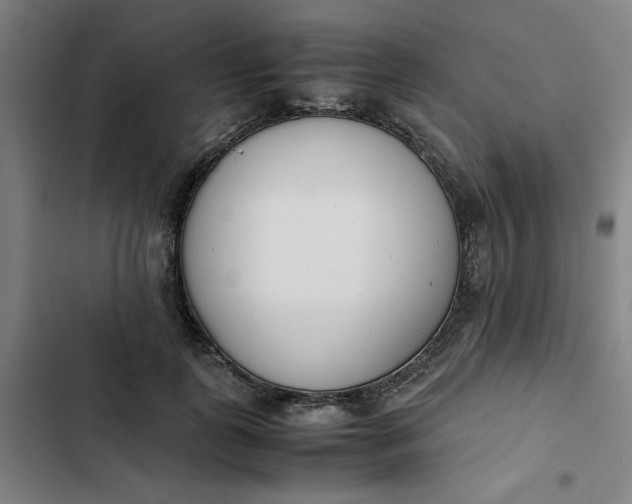 X0000102470747200808221642