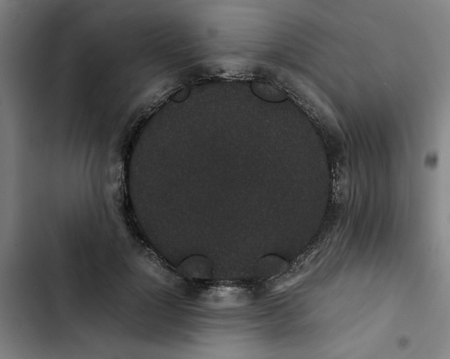 X0000102470748200808221642