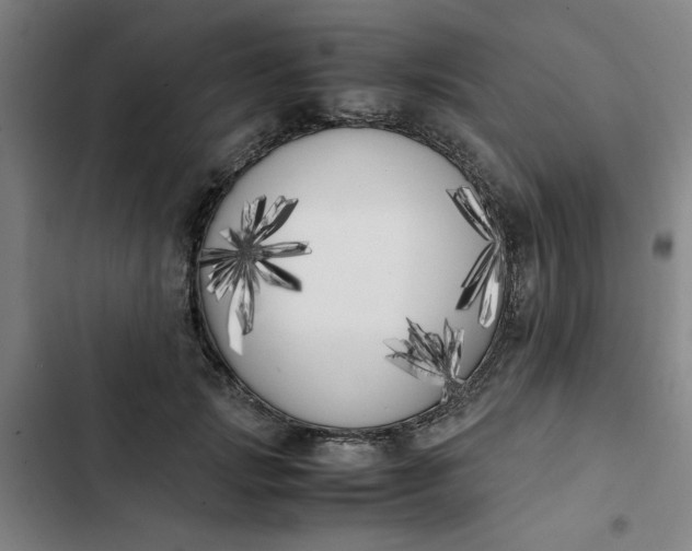 X0000102470749200808221642