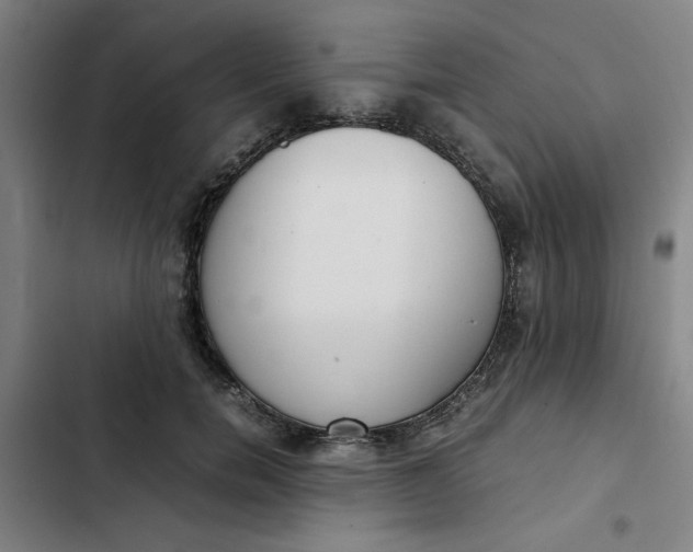 X0000102470750200808221642