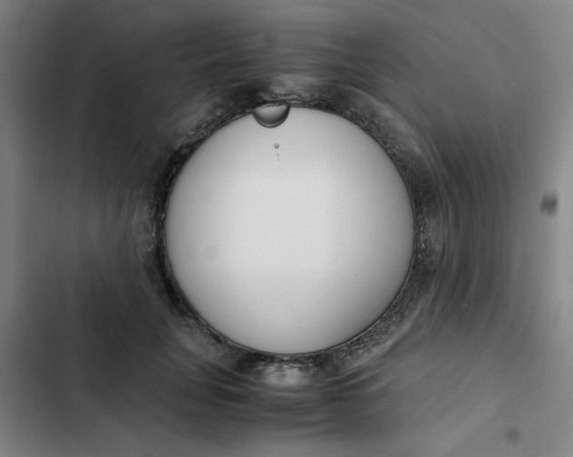 X0000102470751200808221642