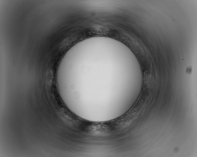 X0000102470752200808221642
