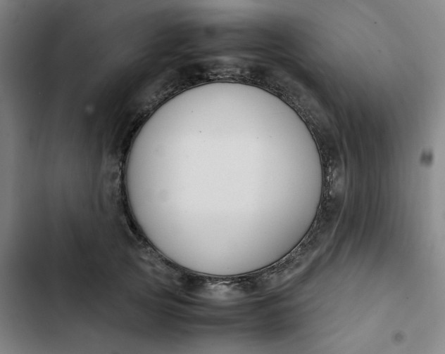 X0000102470753200808221642