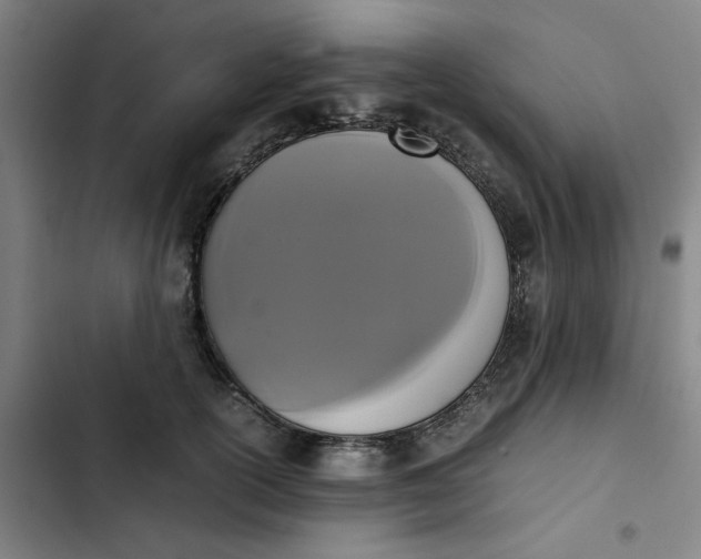 X0000102470754200808221642