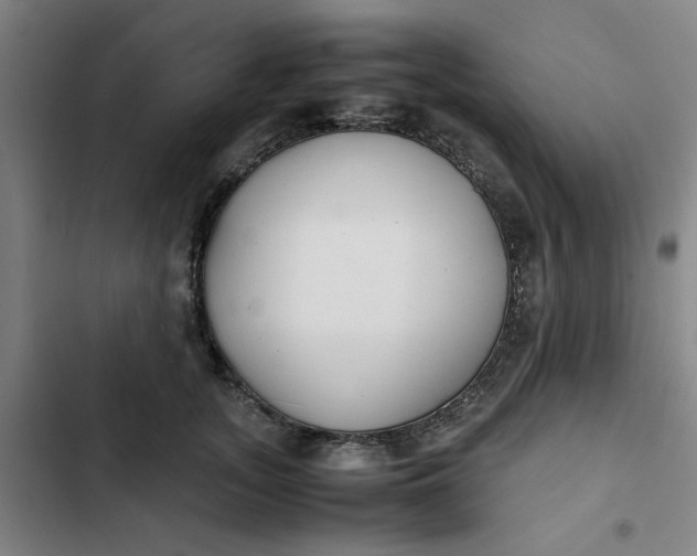X0000102470755200808221642