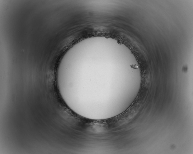 X0000102470756200808221642