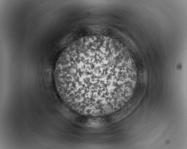 X0000102470757200808221642