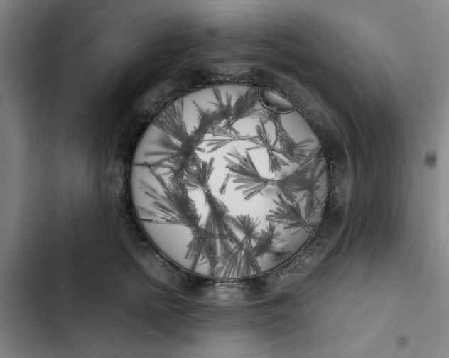 X0000102470758200808221642