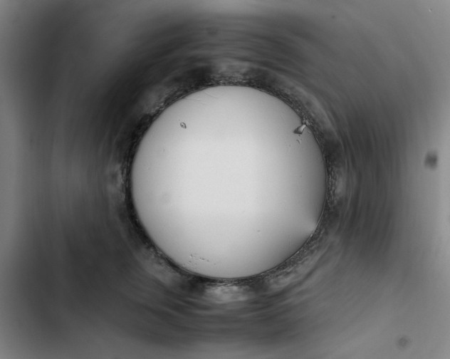 X0000102470759200808221642