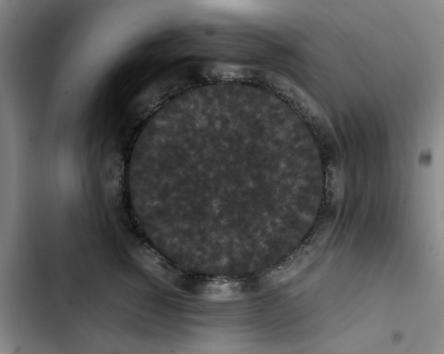 X0000102470760200808221642