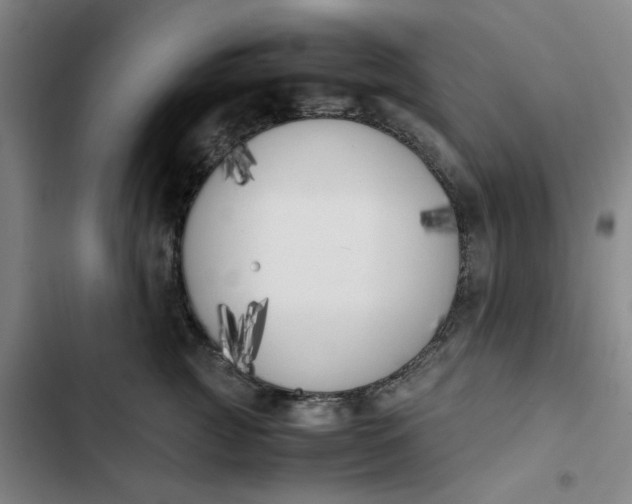 X0000102470761200808221642