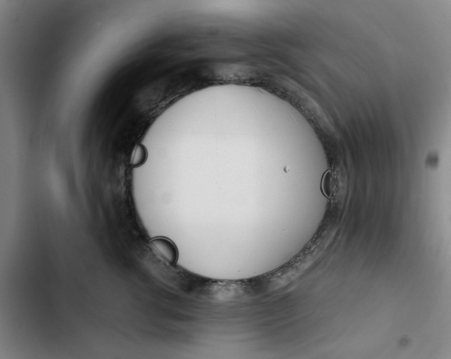 X0000102470762200808221642