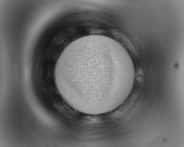 X0000102470763200808221642