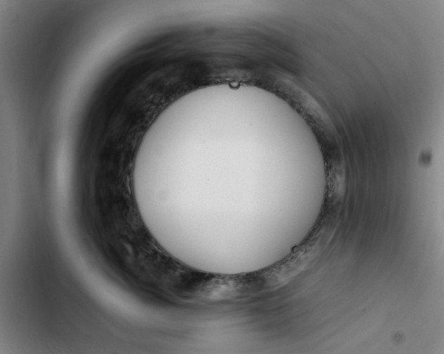 X0000102470764200808221642