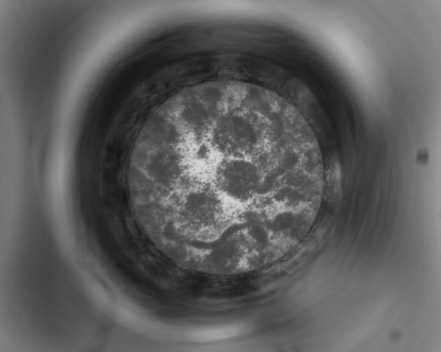 X0000102470765200808221642