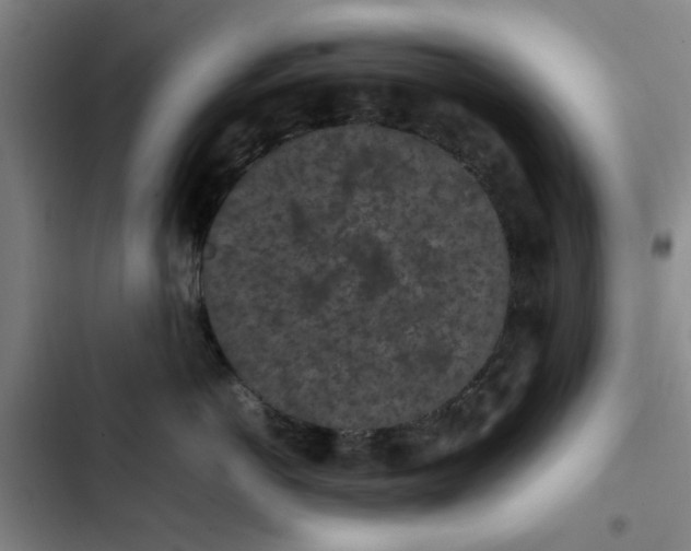 X0000102470766200808221642