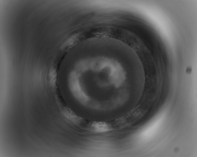 X0000102470767200808221642