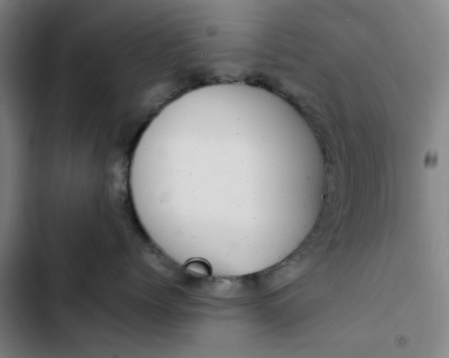 X0000102470768200808221642