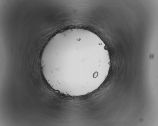 X0000102470769200808221642